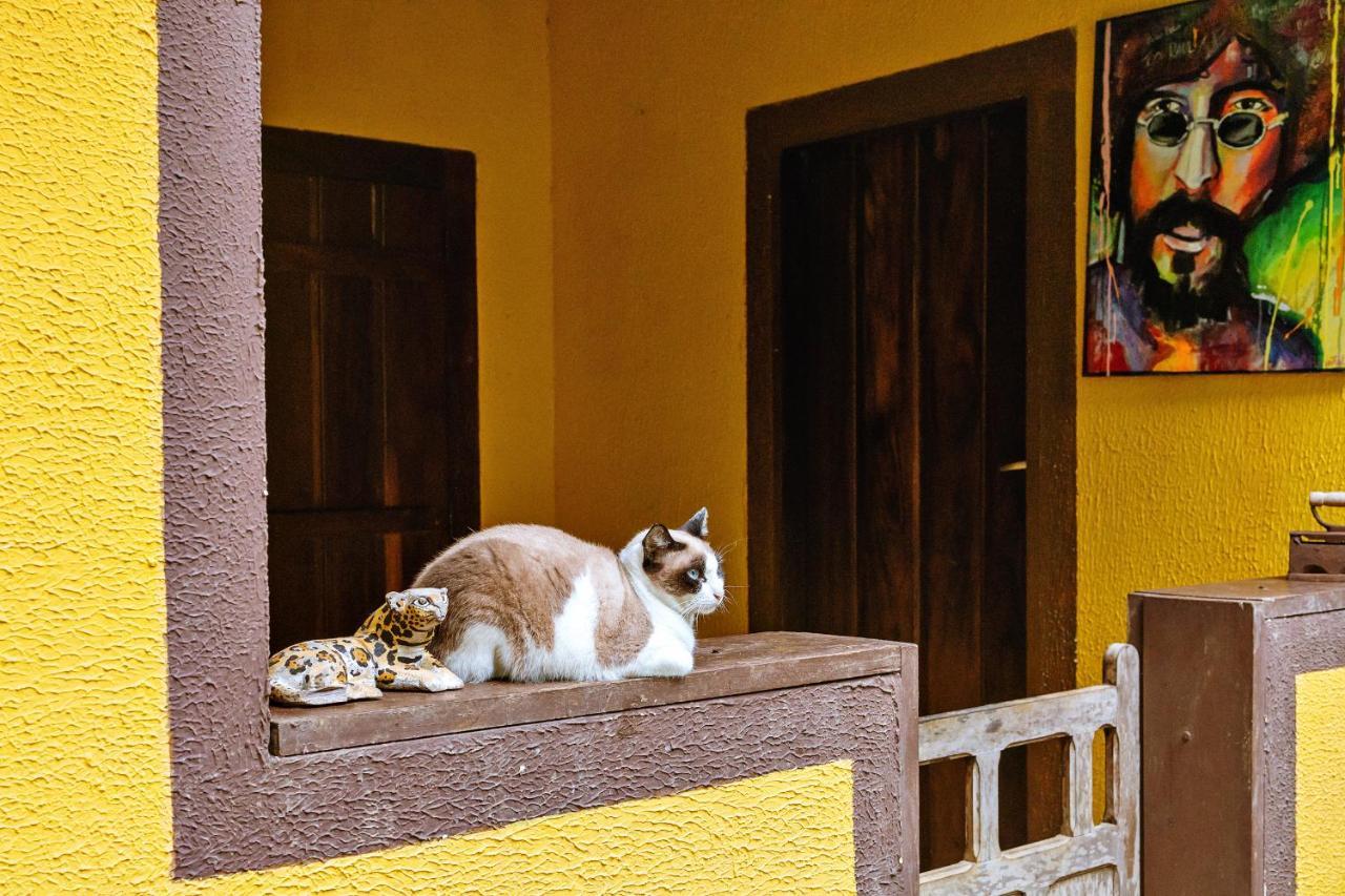 Chales Sol Paraty Ngoại thất bức ảnh