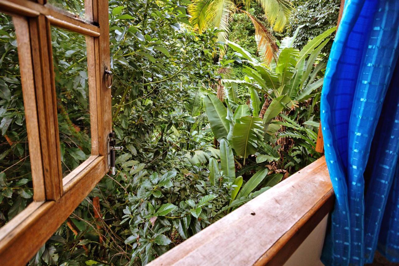 Chales Sol Paraty Ngoại thất bức ảnh