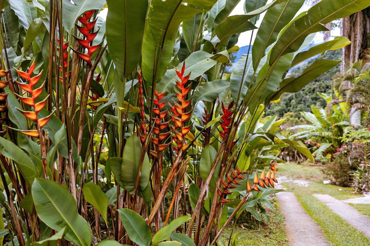 Chales Sol Paraty Ngoại thất bức ảnh