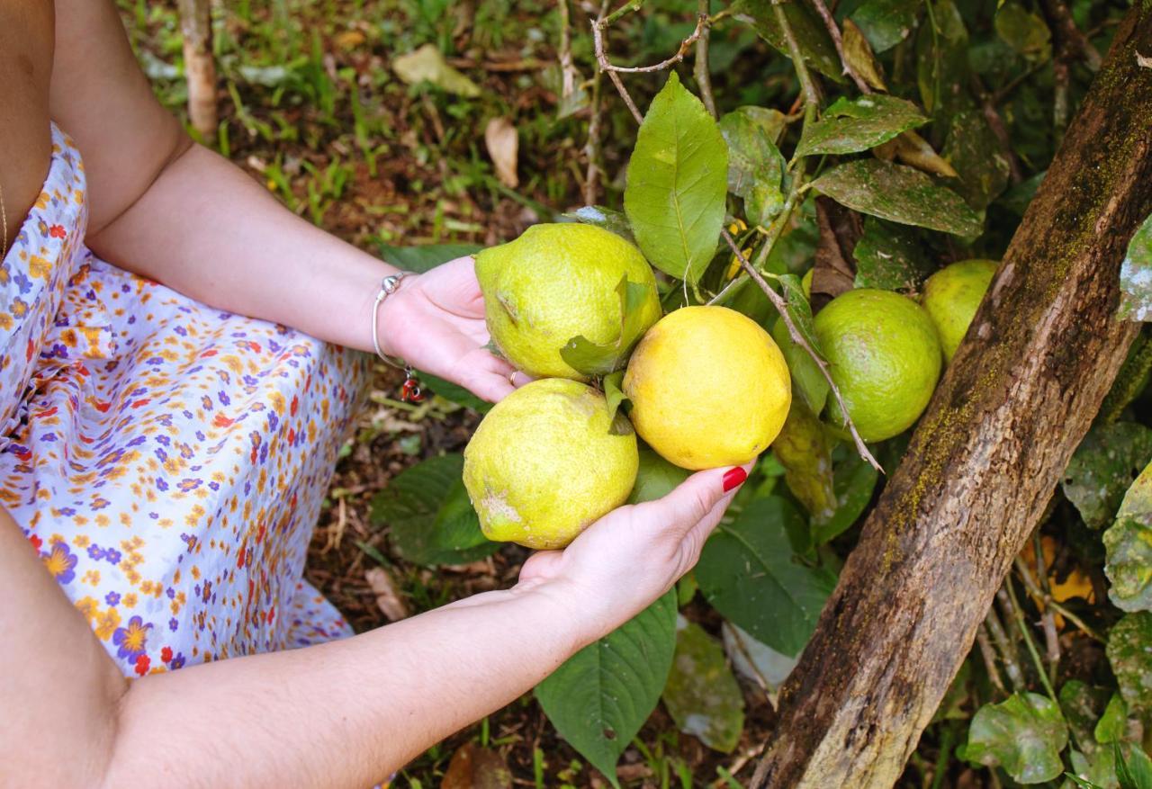 Chales Sol Paraty Ngoại thất bức ảnh